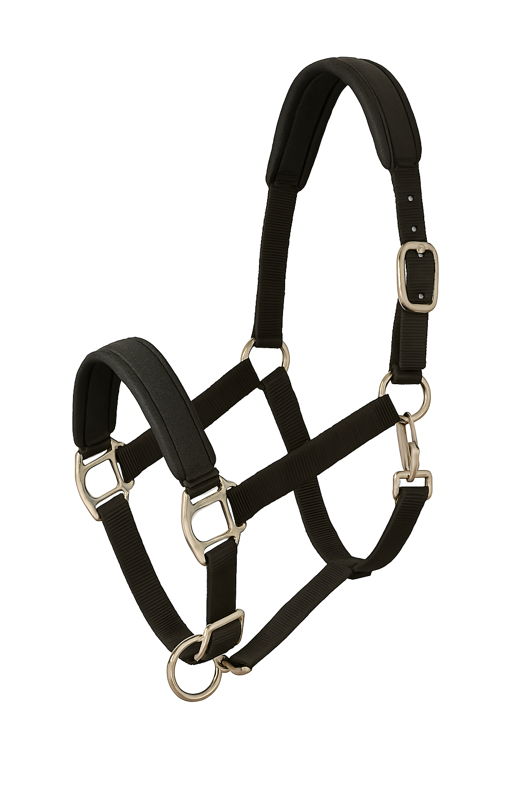 Copilot_20260211_140449