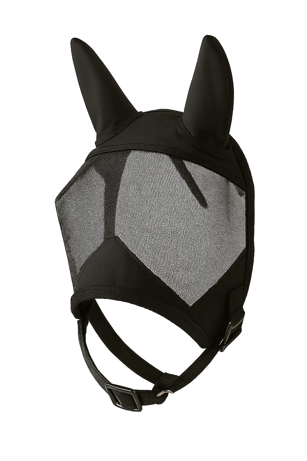 Copilot_20260211_140552