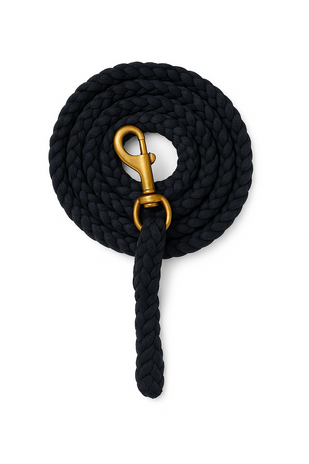 Copilot_20260217_123643