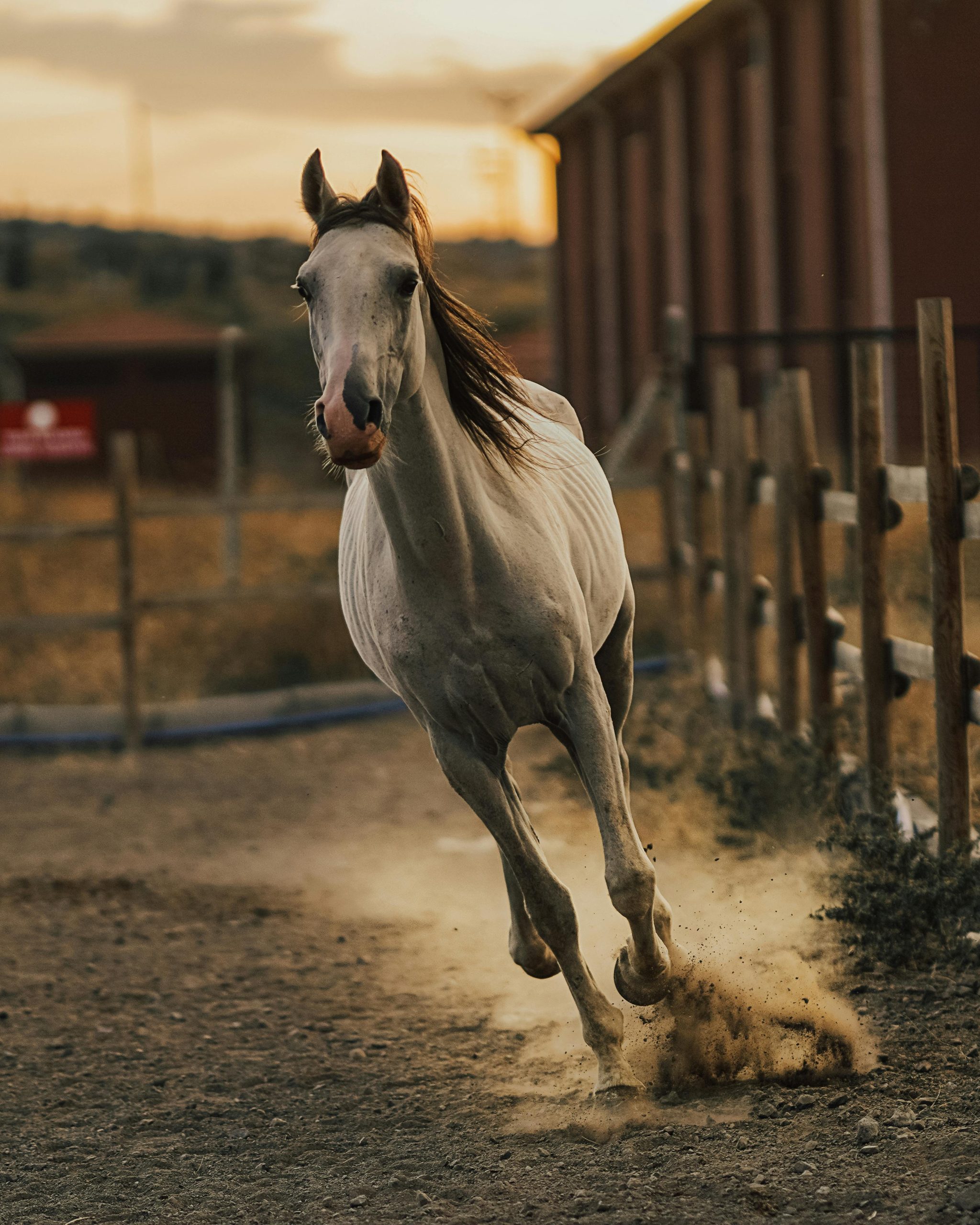 pexels osmanarabaciart 35241794 scaled